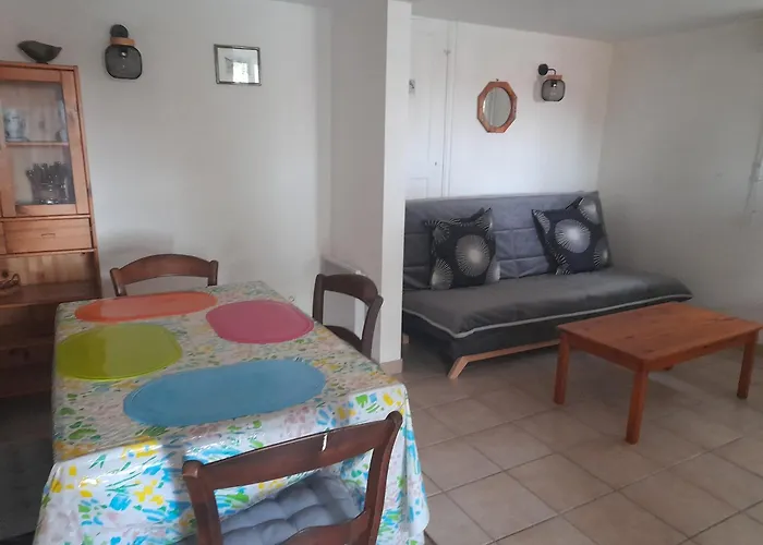 アパート T2 Avec Terrasse Et Bbq, Proche Centre Et Plages - Fr-1-319-85