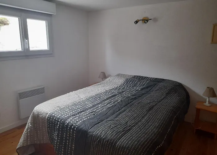 Appartement T2 Avec Terrasse Et Bbq, Proche Centre Et Plages - Fr-1-319-85 Arcachon