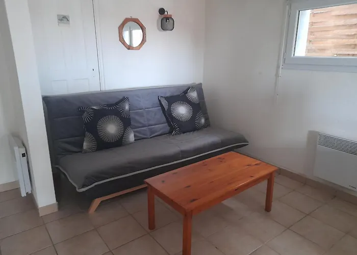 Appartement T2 Avec Terrasse Et Bbq, Proche Centre Et Plages - Fr-1-319-85 *